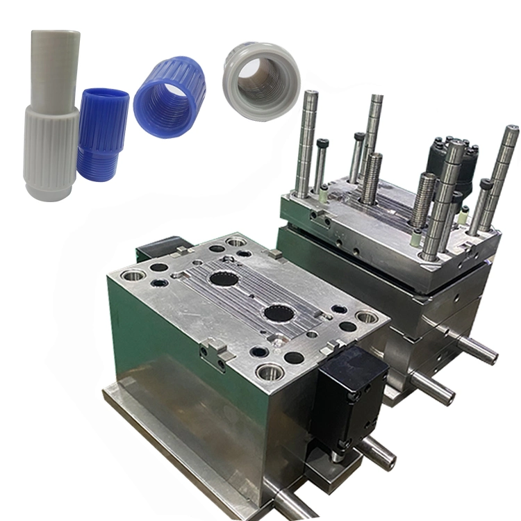 Plastic Injection Mold and Moulding