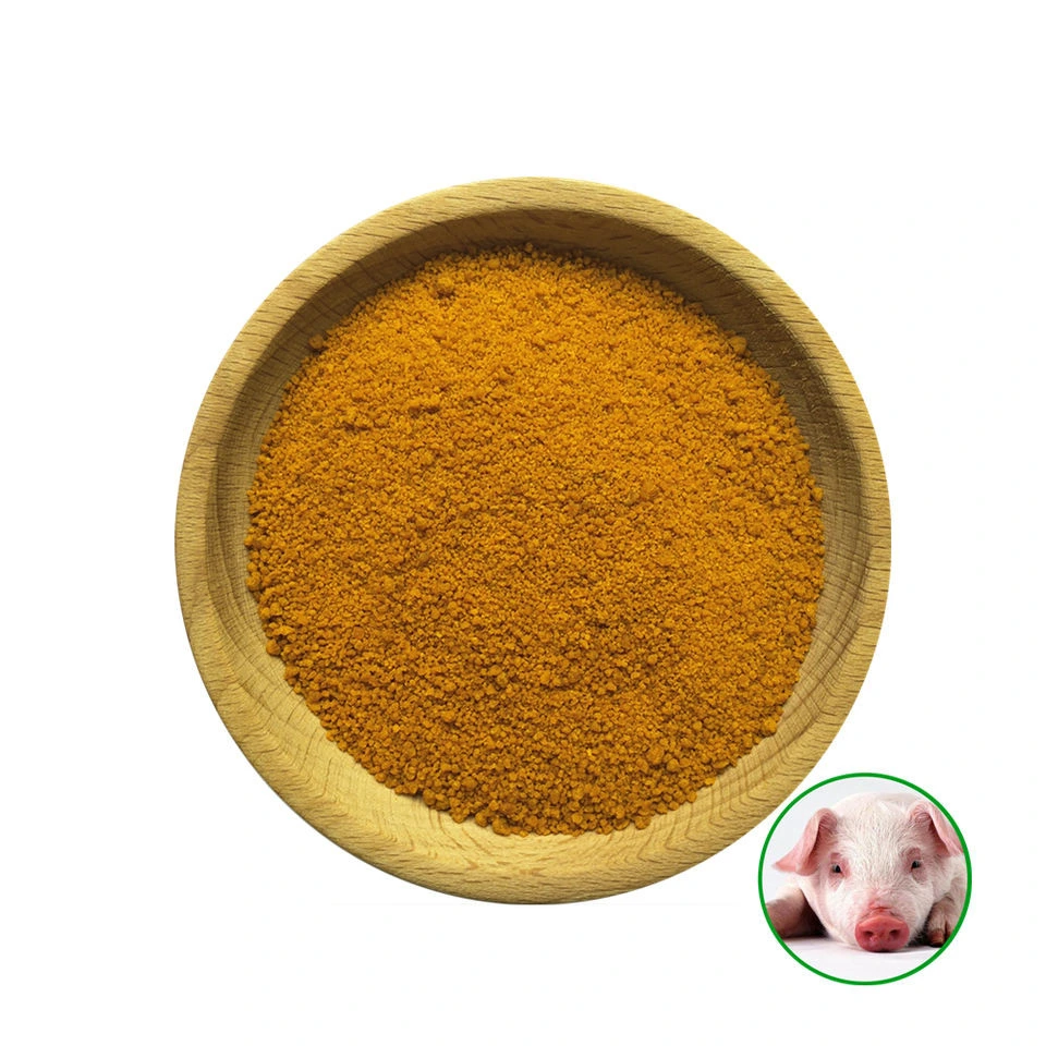 Alimento de galinha da proteína elevada trigo amarelo para o alimento de animal Bran Farinha de glúten de milho em pó