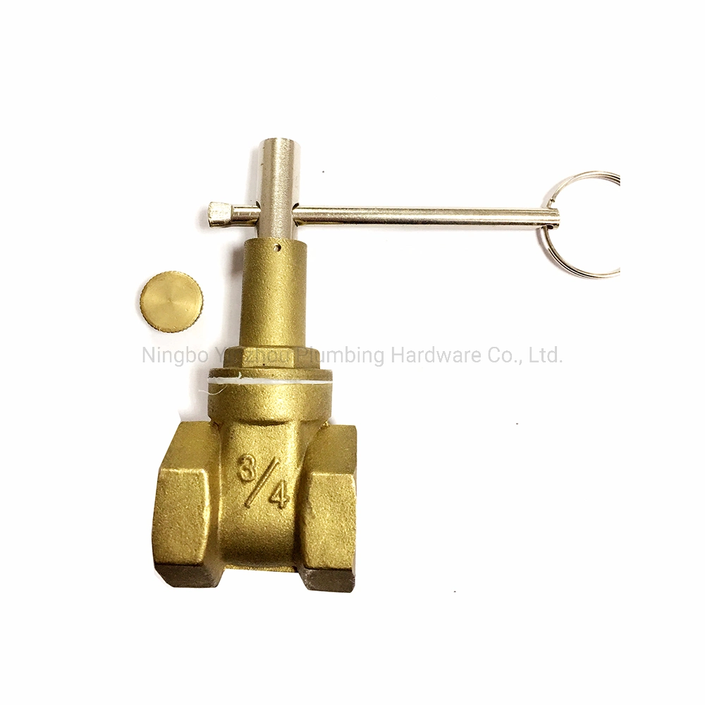 Brass Magnetic Lockable Gate Valve Manufacturer (HG25)