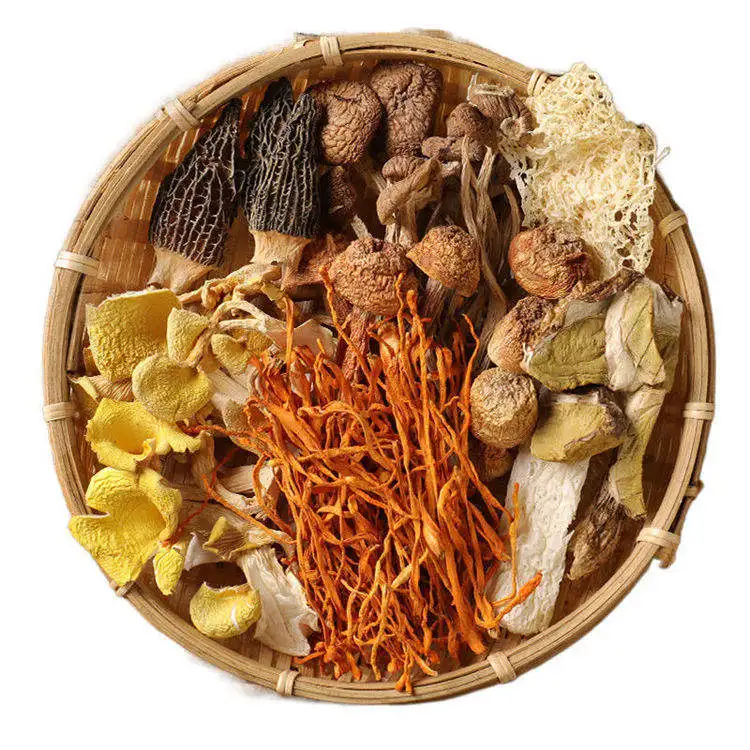 China Supreme Dried Morel Mushroom/Porcini/Chaga/Reishi/Matsutake/Turkey Tail Mushroom