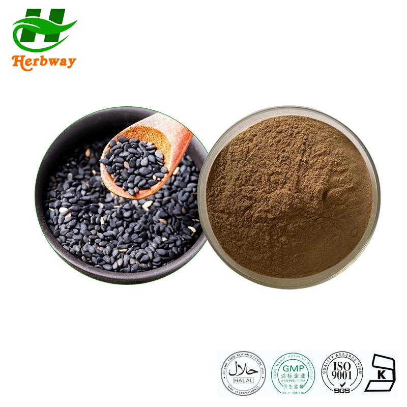 Herbway Kosher Halal Fssc HACCP Certified Semen Sesami Nigrum Black Sesame Seeds Extract Powder