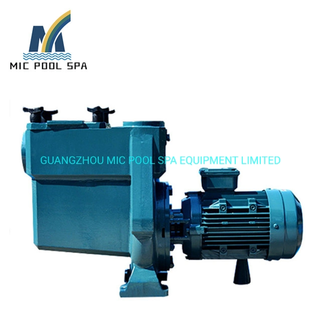 Small Circulating Steel Water Pump 50Hz High Pressure Electric Swimming Pool Pumps for Commercial Pool