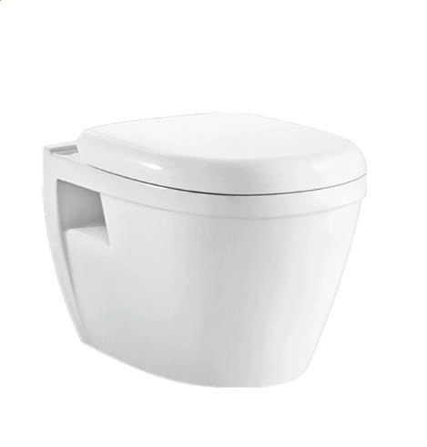 Sairi European P-Trap Washdown Flushing Wc Wall Hung Toilet with Bidet