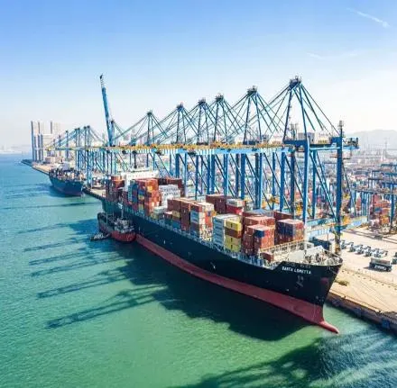 Fornecer Top 10 Carrier China para Belize Port Sea Freight Do Agente de Envio profissional