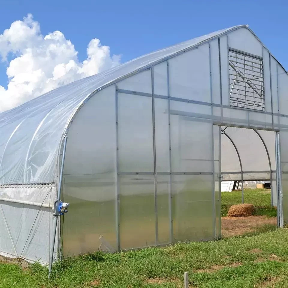 Commercial Multi-Span Greenhouse Plastic Film Greenhouse Is Affordable