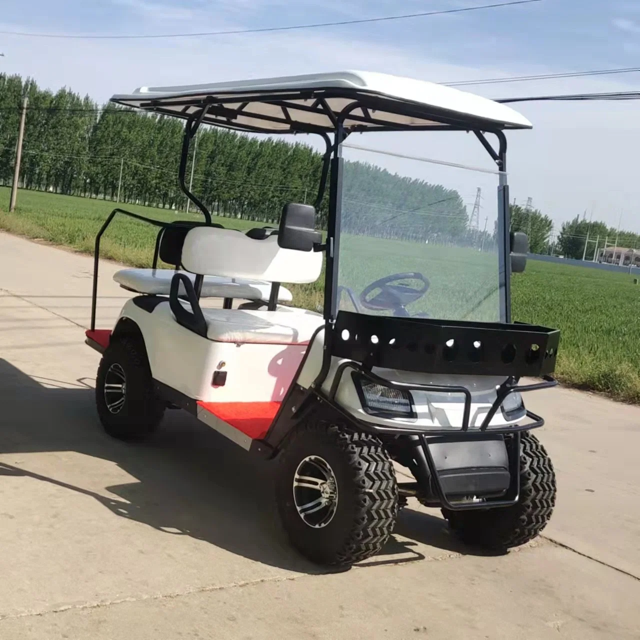 Factory Export CE Certificated 2seater Golf Cart Electric Golf Buggy Electric Vehicle