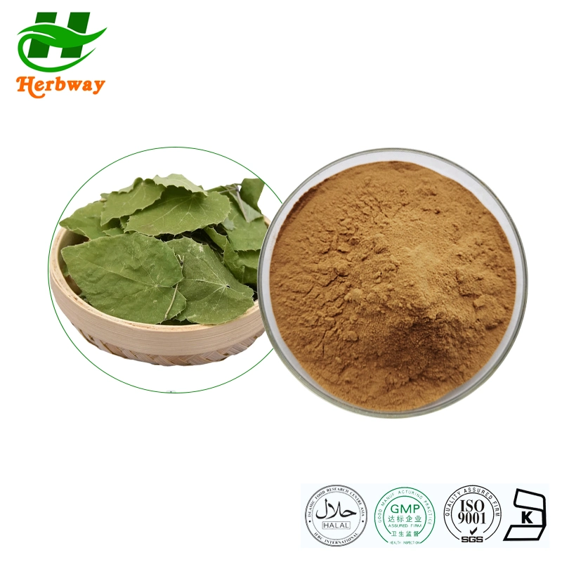 Factory Supply Ginseng Extract Food Additive Free Sample for Man's Health Epimedium Brevicornum Maxim Epimedium Extract Powder