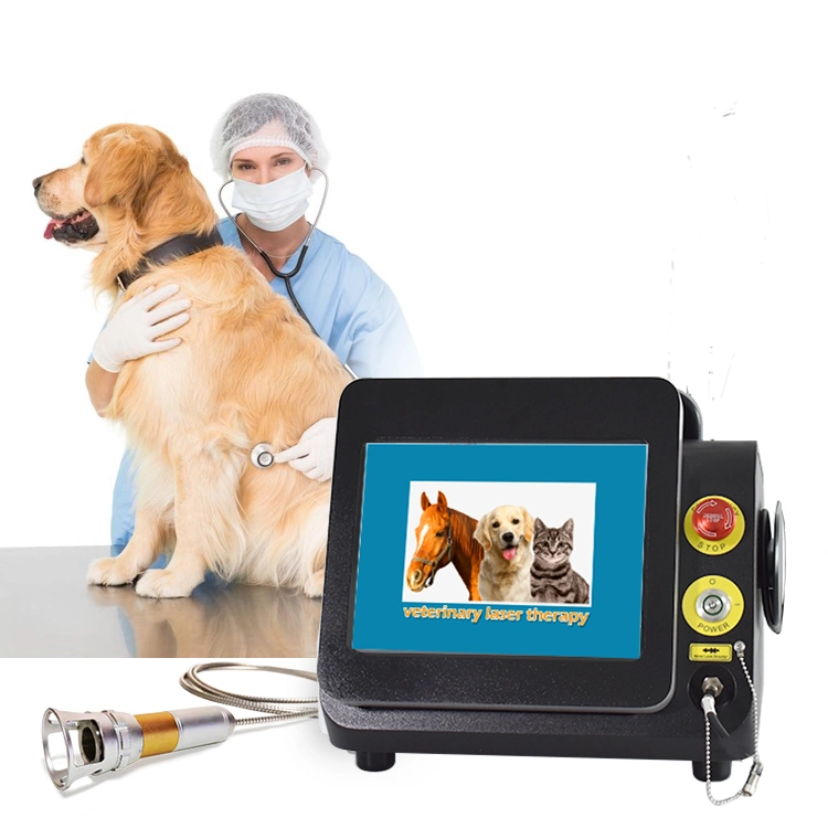 Hot Selling Veterinary Animal Pain Reduction Physiotherapy Physical Therapy Laser Machine 980nm