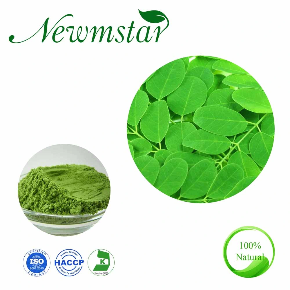 Extracto de hoja de Moringa con extracto de plantas naturales de alimentación de la fábrica