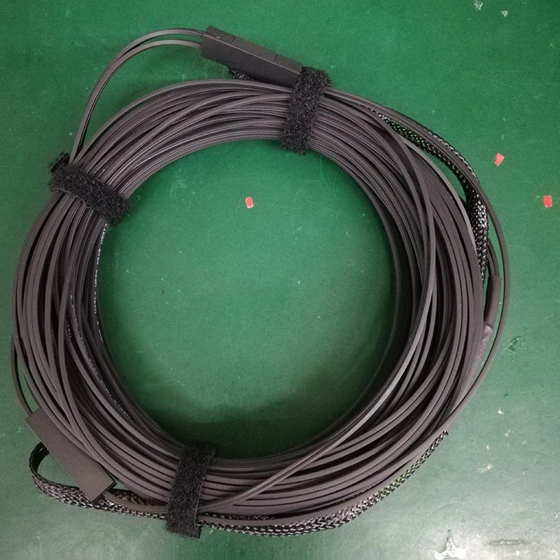 30m Singlemode 2 Core Sc APC FTTH Drop Patch Cable