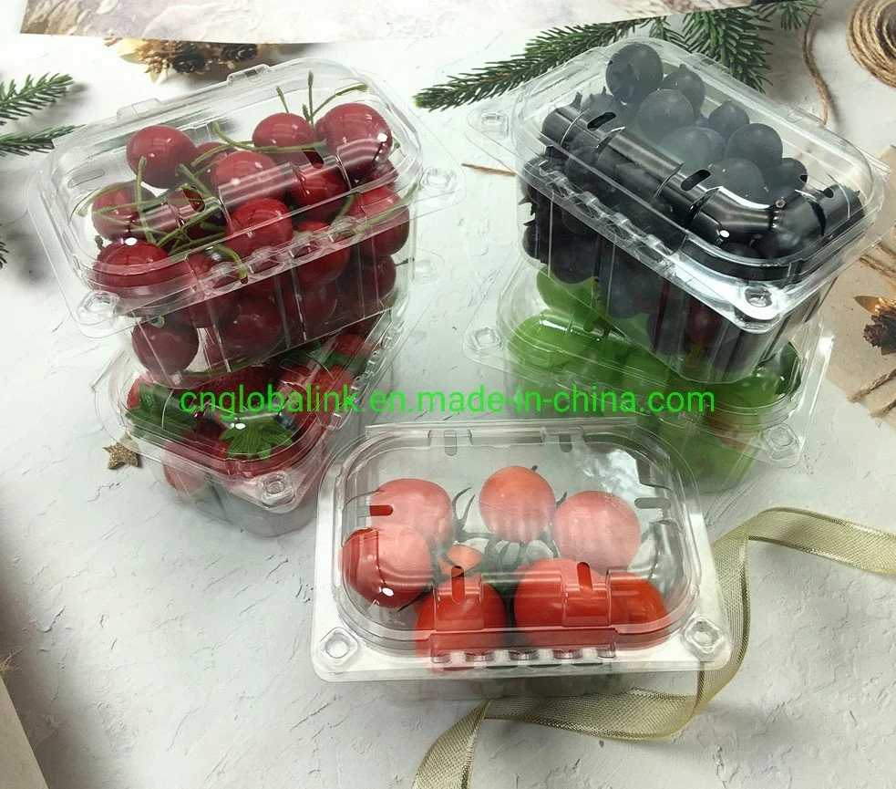 Disposable Plastic Blister Clamshells Fruit Packing Punnets Tomatoes 250 Grams Plastic Packaging