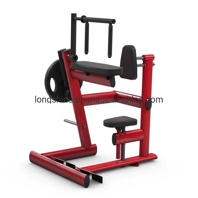 Top Quality Red Devil Ls-Rdw10 Sports Fitness Equipment for Seated DIP