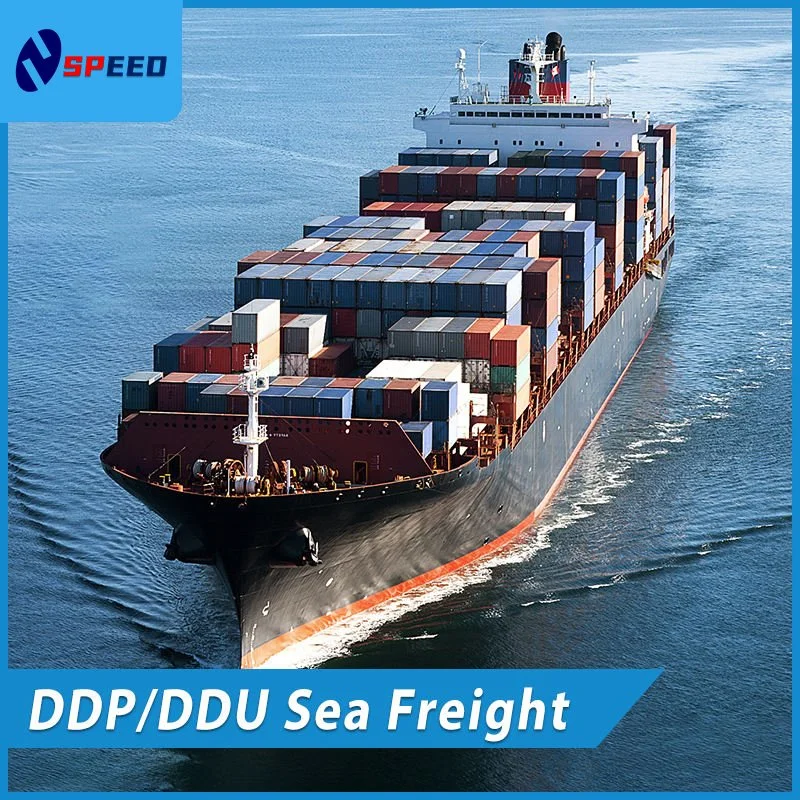 Shenzhen Air Sea Freight Forwarder Shipping DDU DDP Service China to America