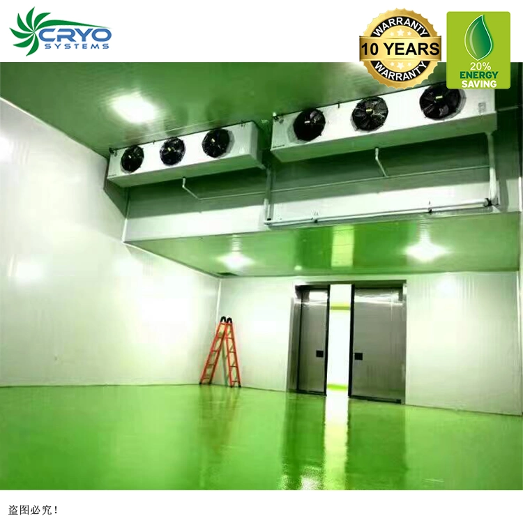 +10c~-60c Fruits Sellers High quality/High cost performance New Cold Storage Warehouse Construction