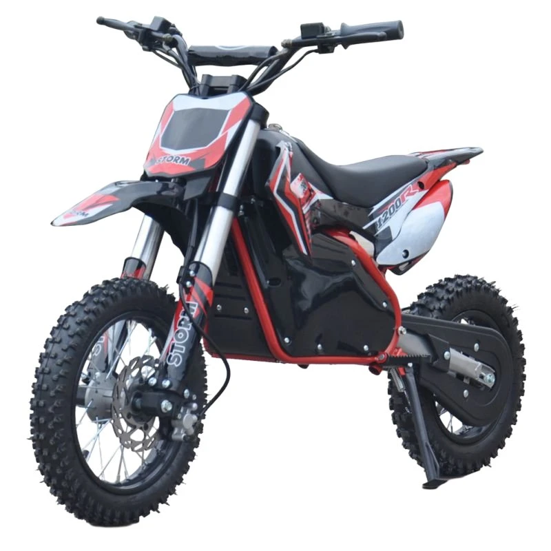 800W Super Powerful Electric Dirt Bike