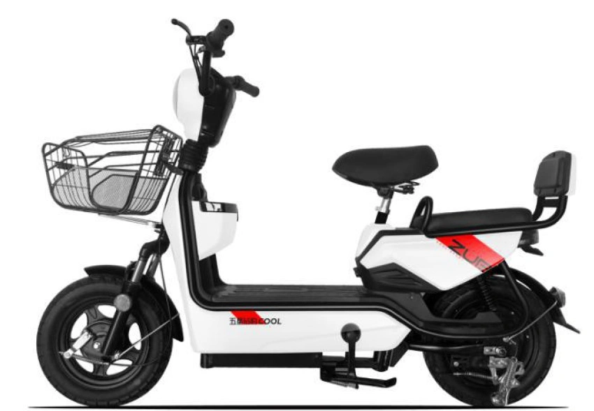 48V/60V Electric Bike for Mam to Pick Child Whole Sell