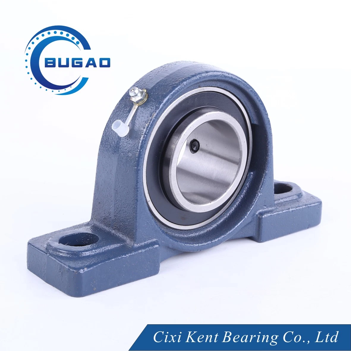 Heavy Weight Pillow Block Bearing UCP214 with Bearing Housing