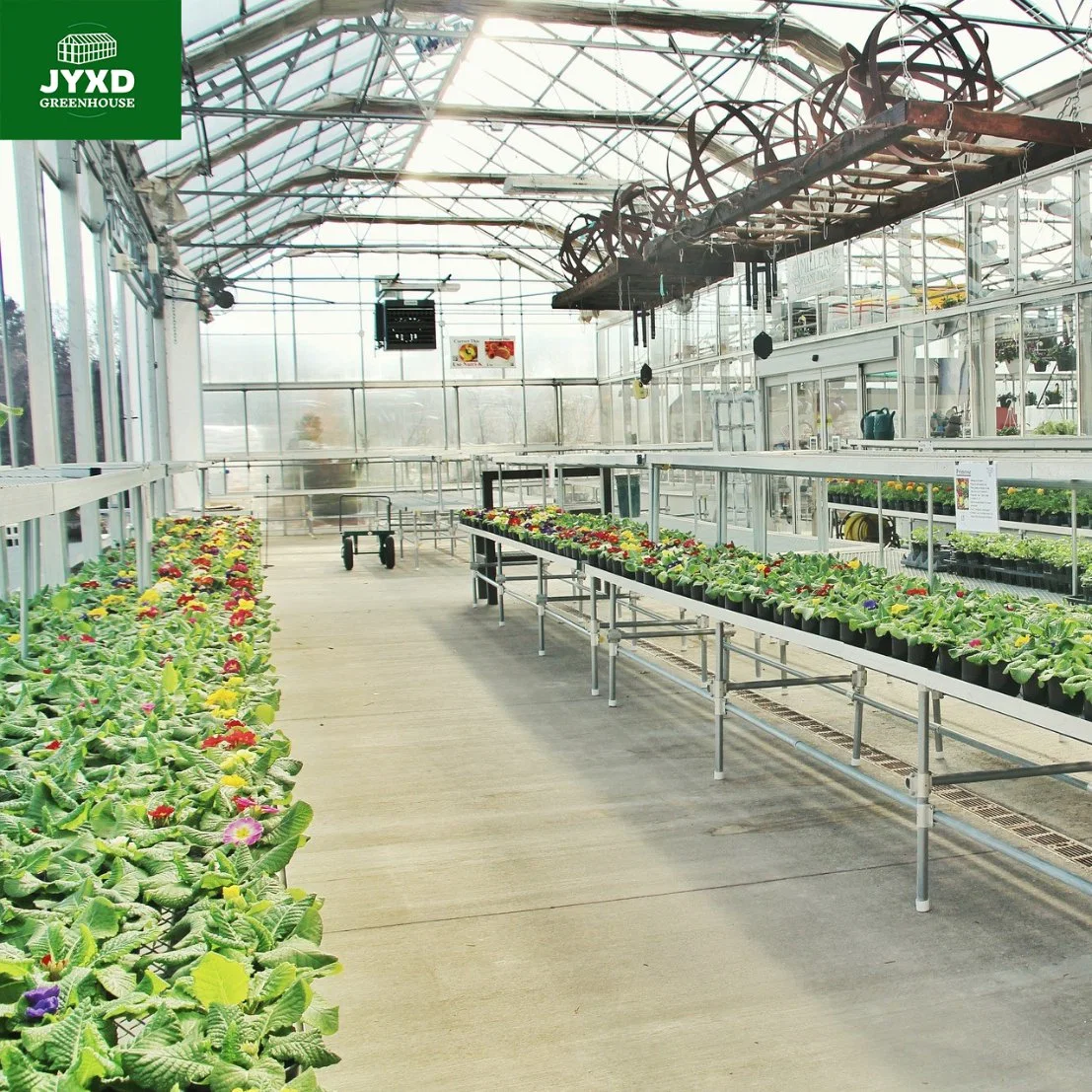 Modern Agriculture Multi-Span Customized Glass Greenhouse with Hydroponics System Heating System for Vegetables Fruits Flowers Pepper Blueberry