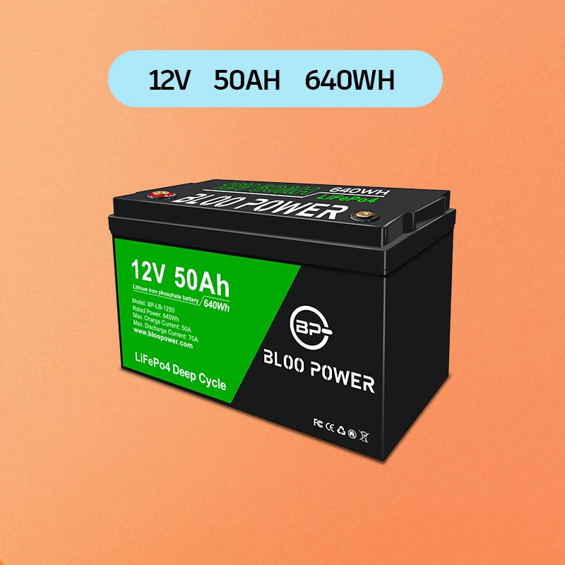 Bloo Power 12V 24V 36V 48V 50ah Sealed Rechargeable for Electric Vehicle Electrical Tool Warehouse Truck Lithium Battery