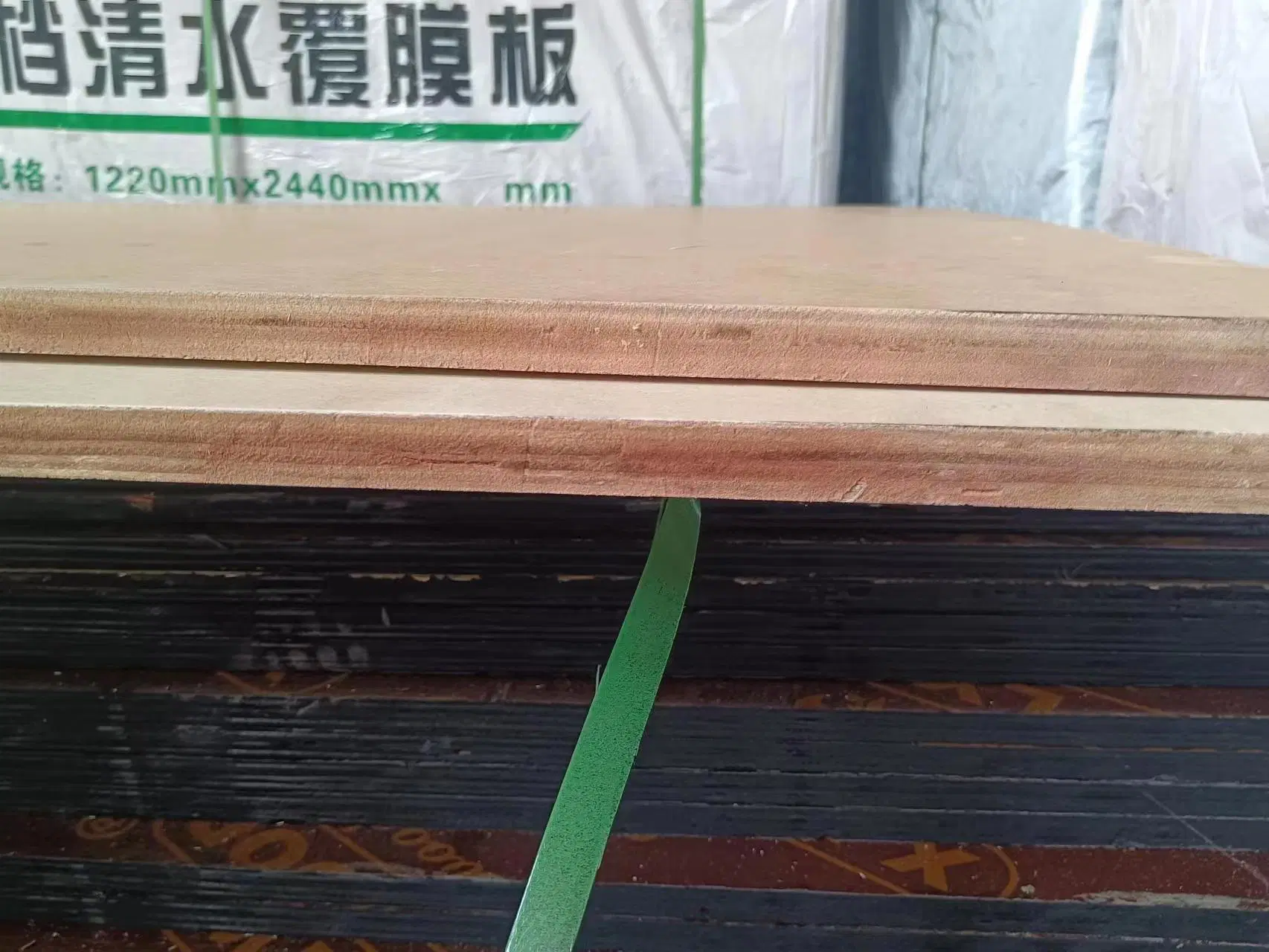 Poplar Plywood in Melamine Board / Marine Plywood / Birch Plywood/Bamboo Plywood