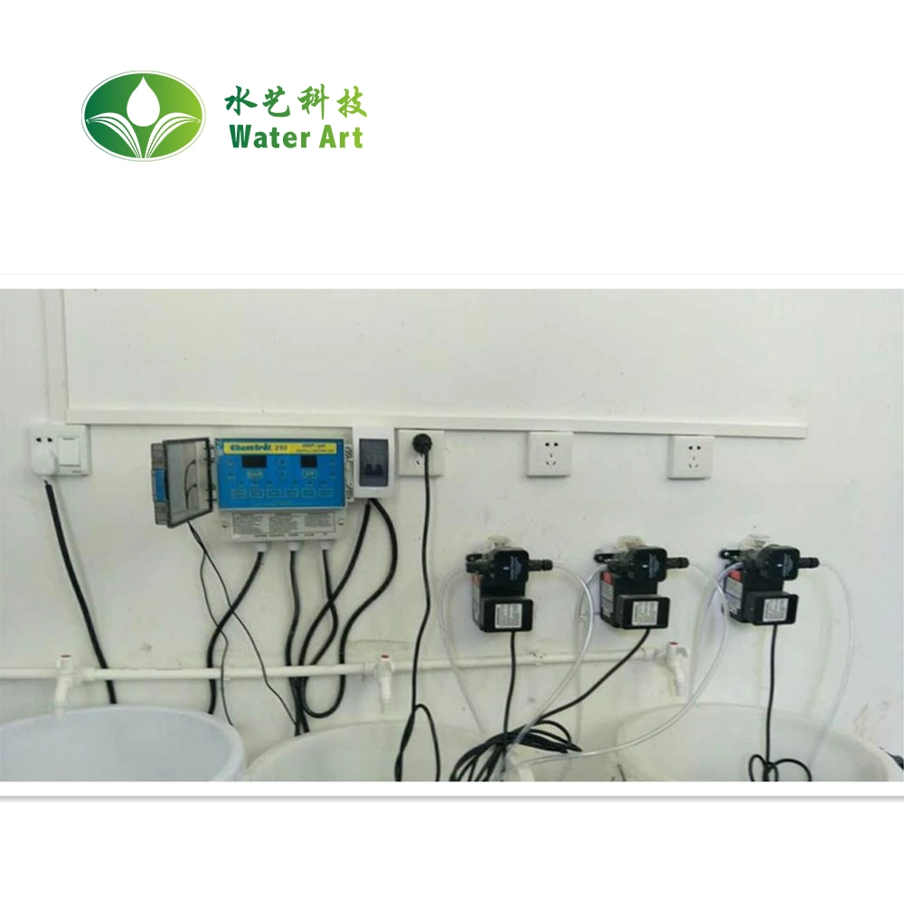 Water Treatment Pool Maintenance System Swimming Pool Automatic ORP/pH Controller