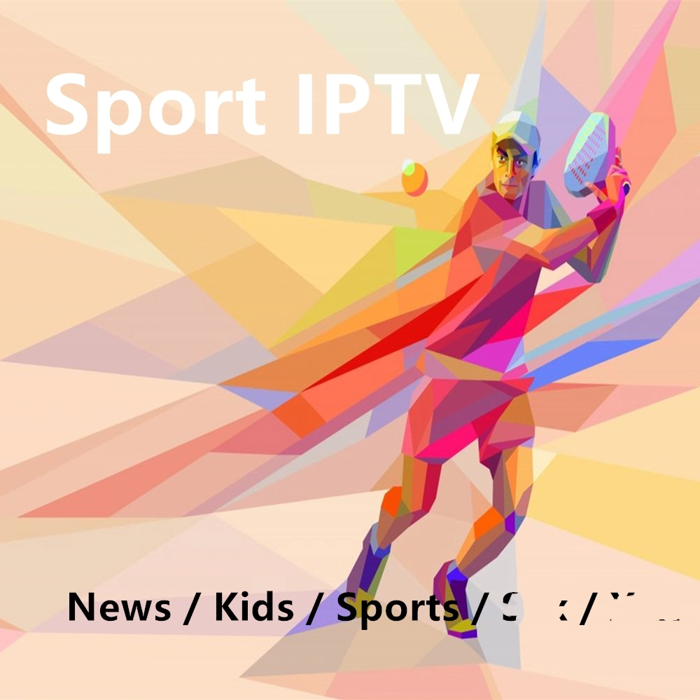 France IPTV Server 1year Subscription M3u Stable French Spain Germany Italy Android TV Box Smart TV Mag M3u Streaming IP TV