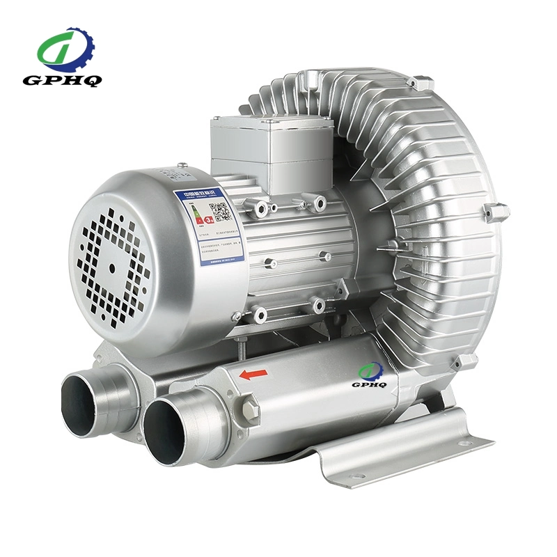 Vacuum Pump Company with Three Phase Pump for Central Dust System