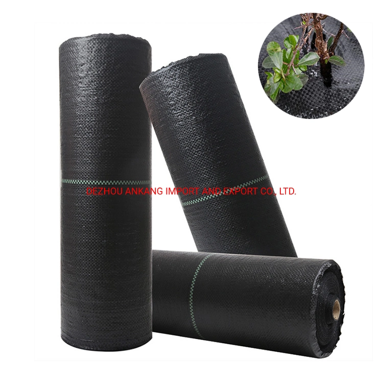 90g 100g Plastic Black Agricultural Anti Weed Mat PE or PP Material UV Protected Geogextile