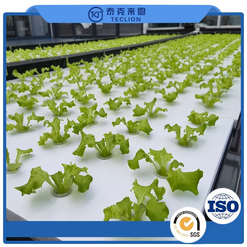 Nft Channel System Hydroponics Agricultural Leafy Vegetable Hydroponics System Professional Chinese Manufacturer