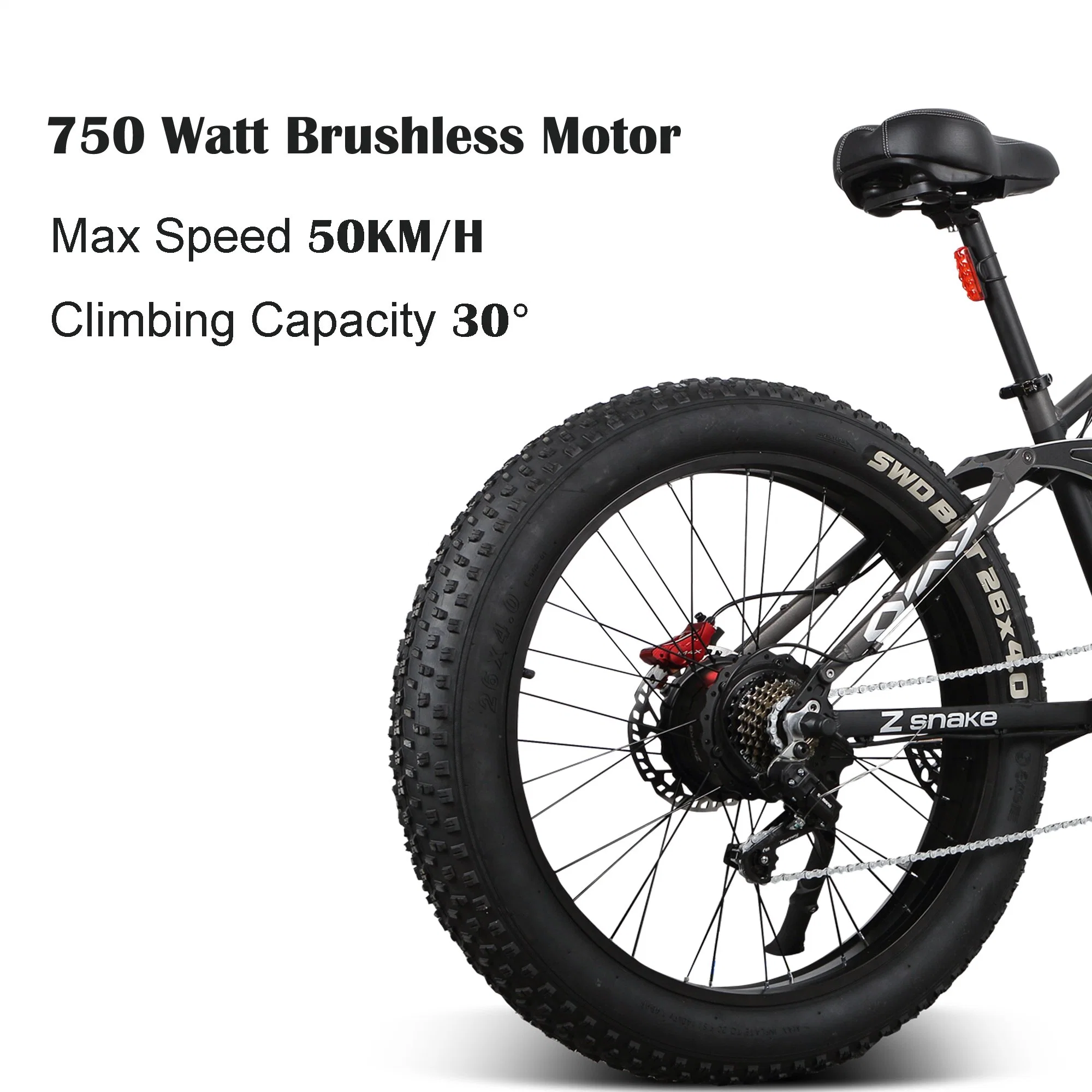 Zsnake 750W bicicleta eléctrica para adultos 30 Mph Electric Mountain Ebike com 48V 20A remoção da bateria de lítio 26 Polegadas Estrada Gordura Pneus de vácuo e display LED