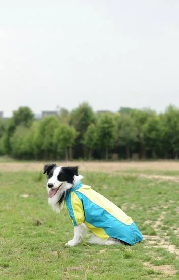 Wholesale/Supplier Superior Quality Pet Products Outdoor Dog Clothing Dog Raincoat