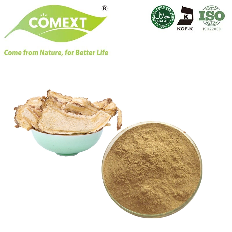 Comext Hot Sale Ligustilide 1% Angelicae Sinensis Extract Dong Quai Angelica Powder