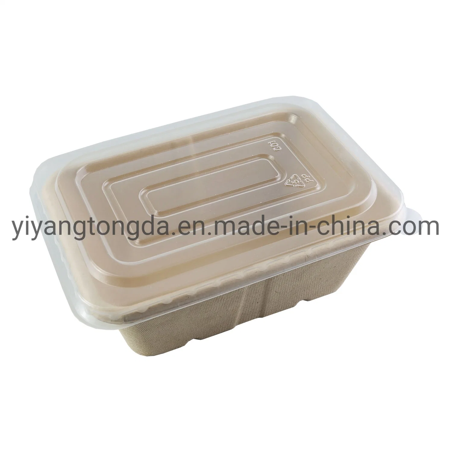 Eco Friendly Biodegradable Disposable Pulp Fast Food Container Disposable Microwave Food Container with Lid