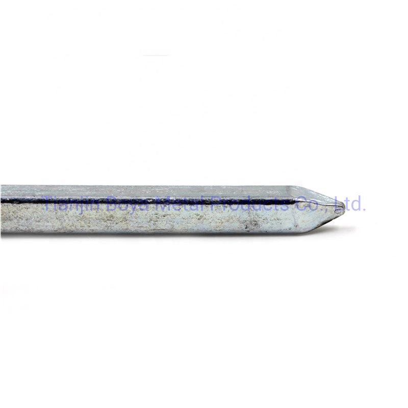 Polished Square Boat Nail/Galvanized Square Boat Nail with Different Size