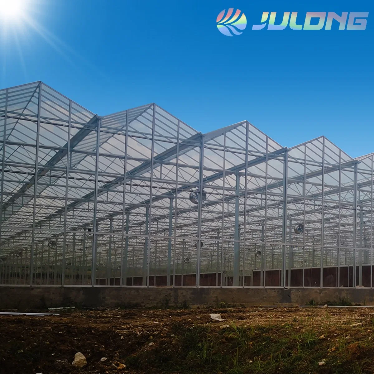 Good Quality Steel Frame Aluminum Material Greenhouse Glass Venlo Green House on Sale