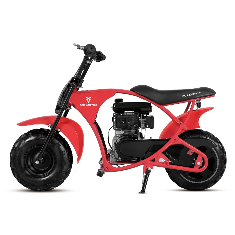 110cc Allgemeine Motor Dirt Bike Automatische Enduro Motorrad Moto Mini Fahrrad