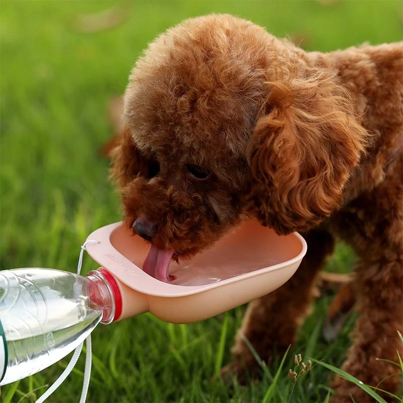 Pet Water Feeder Dog Outdoor Water Bowl Convenient with Mineral Water Bottle Water Feeder Cat Water Bowl Kettle