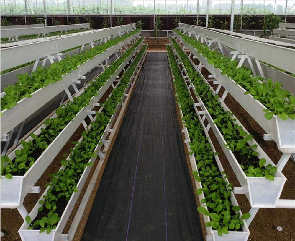 Ferme verticale dans le système hydroponique NFT/rainure de plantation