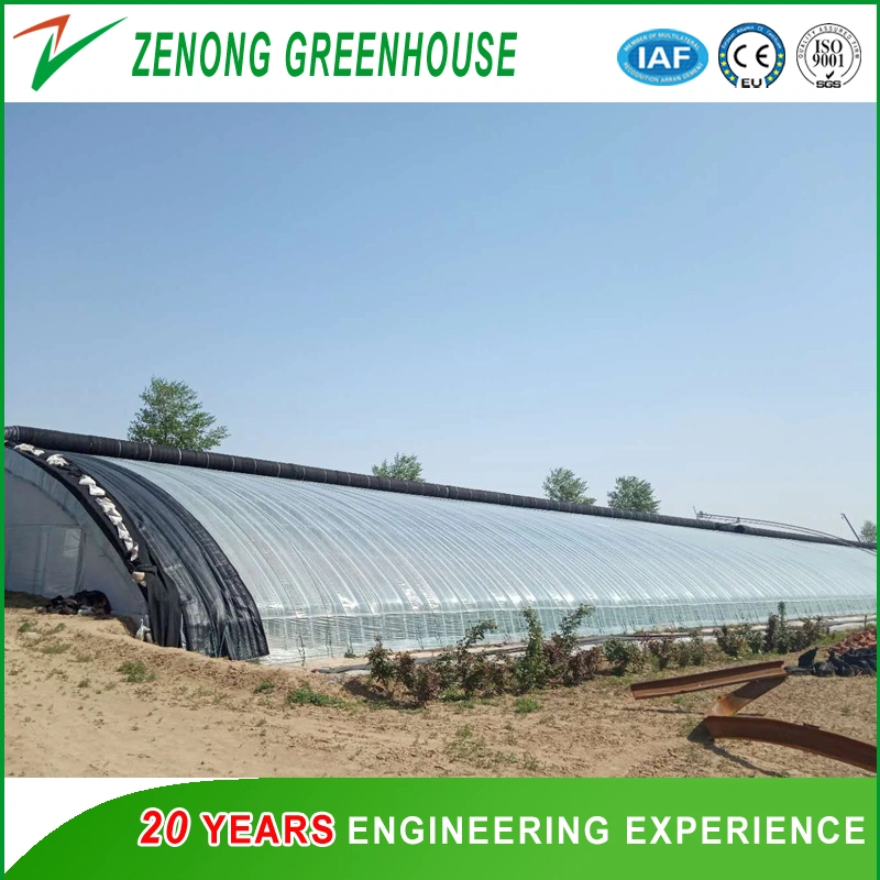 Big Scale High Tech Soil Wall/Brick Wall Solar Greenhouse with Hot DIP Galvanized Steel Frame for Vegetable/Strawberry/Hydroponics for Sale