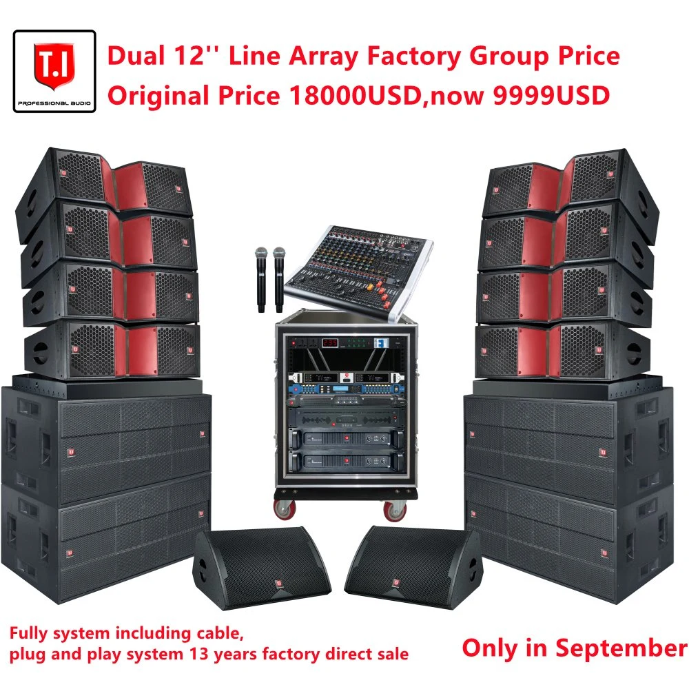 12 Inch Line Array Speaker Parts Accessories T. I PRO Audo Sound System