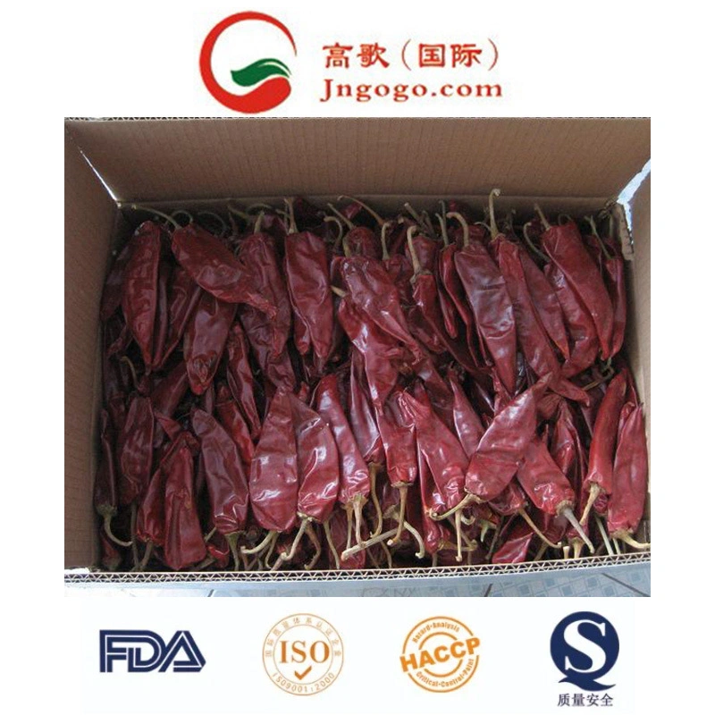 Factory Directly Sale Dry Hot Chili Yidu with Best Quality