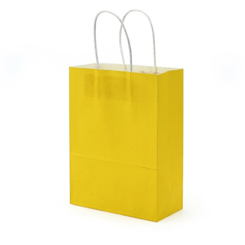 Chinese Manufacturer Carry out Paper Gift Packaging Bag with Handle for Shopping Mall