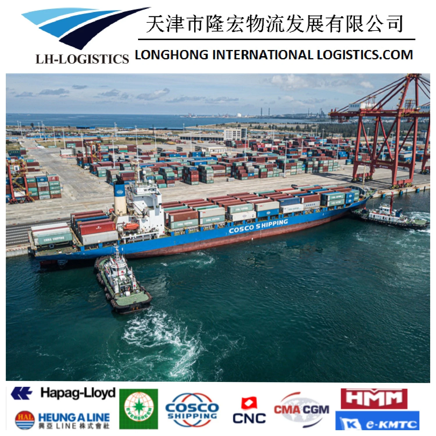 International Sea Freight Shipping Company Professionelle chinesische lokale Versand Spediteur nach Australien.