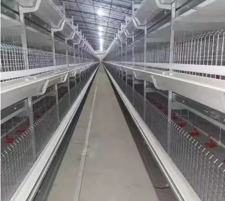 Fully Automatic Cheap Laying Quail/Chicken Cage Poultry Breeding Equipment