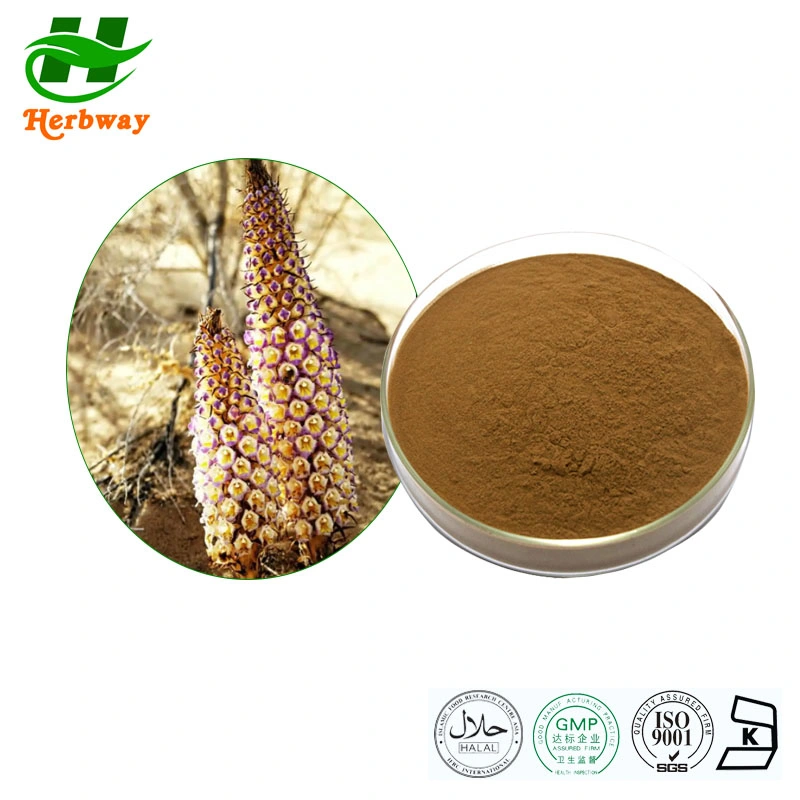 Herbway سعر الجملة الأعشاب الطبيعية مستخرج Cistanche Deserticola الجذر مسحوق Cistanche Tubulosa Root Extract Cistanche Extract