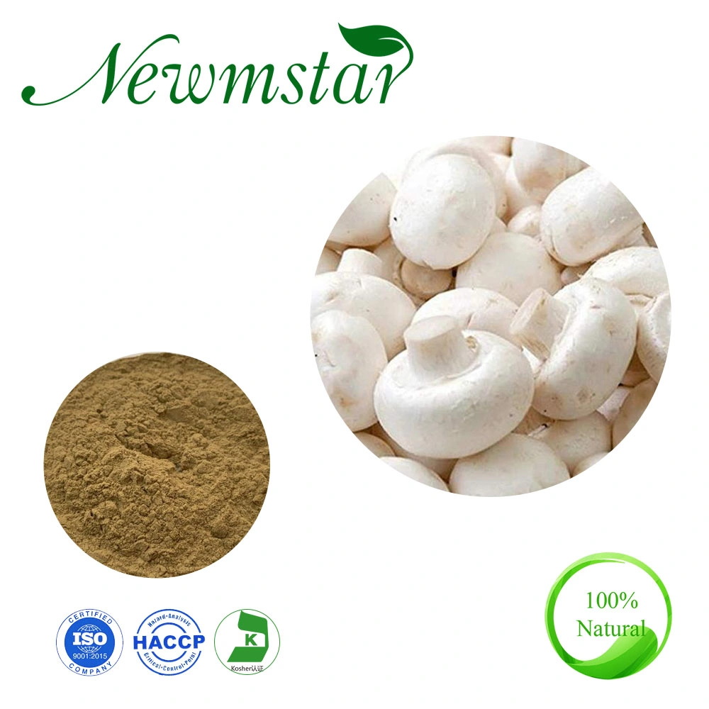 Herbal Extract Agaricus Bisporus Extract with High Quality