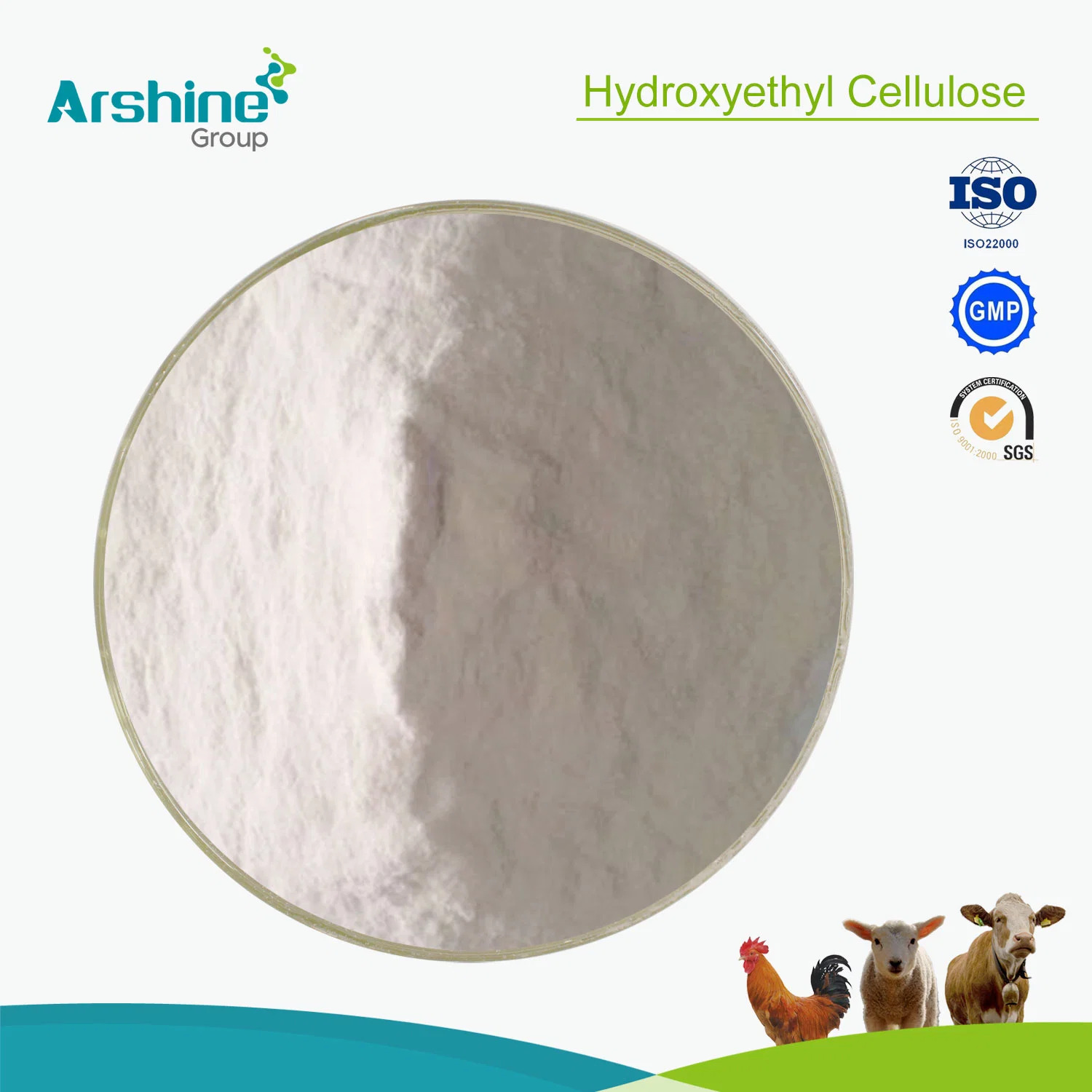 Manufacturers Direct Sale Medicine Raw Material CAS9004-62-0 Hydroxyethyl Cellulose