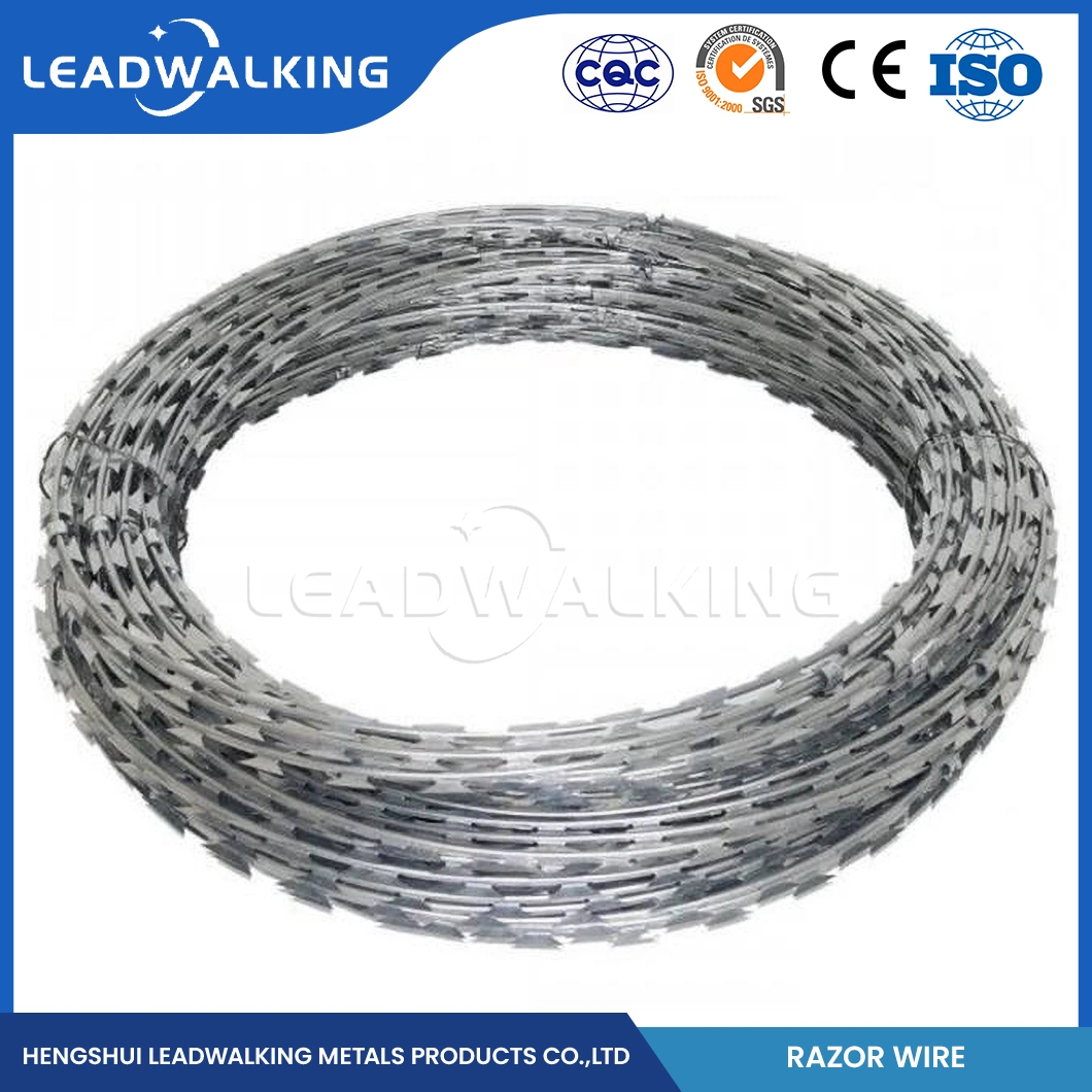 Fabricantes de fios de arame farpado, com secção reta, 25 mm de comprimento de agulha, aço inoxidável Máquina de barbear em espiral fio China fio de barbear seguro e fiável