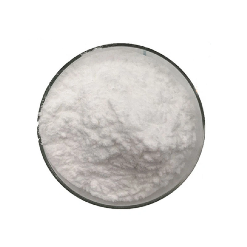 Top Quality Cholesterol Powder Price CAS 57-88-5 Food Additives Cholesterol Powder