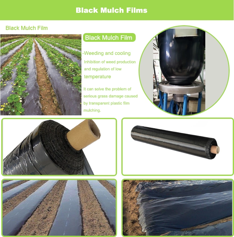 Clear Plastic Seedling Protective Film Mulching Sheet for Agriculture Film